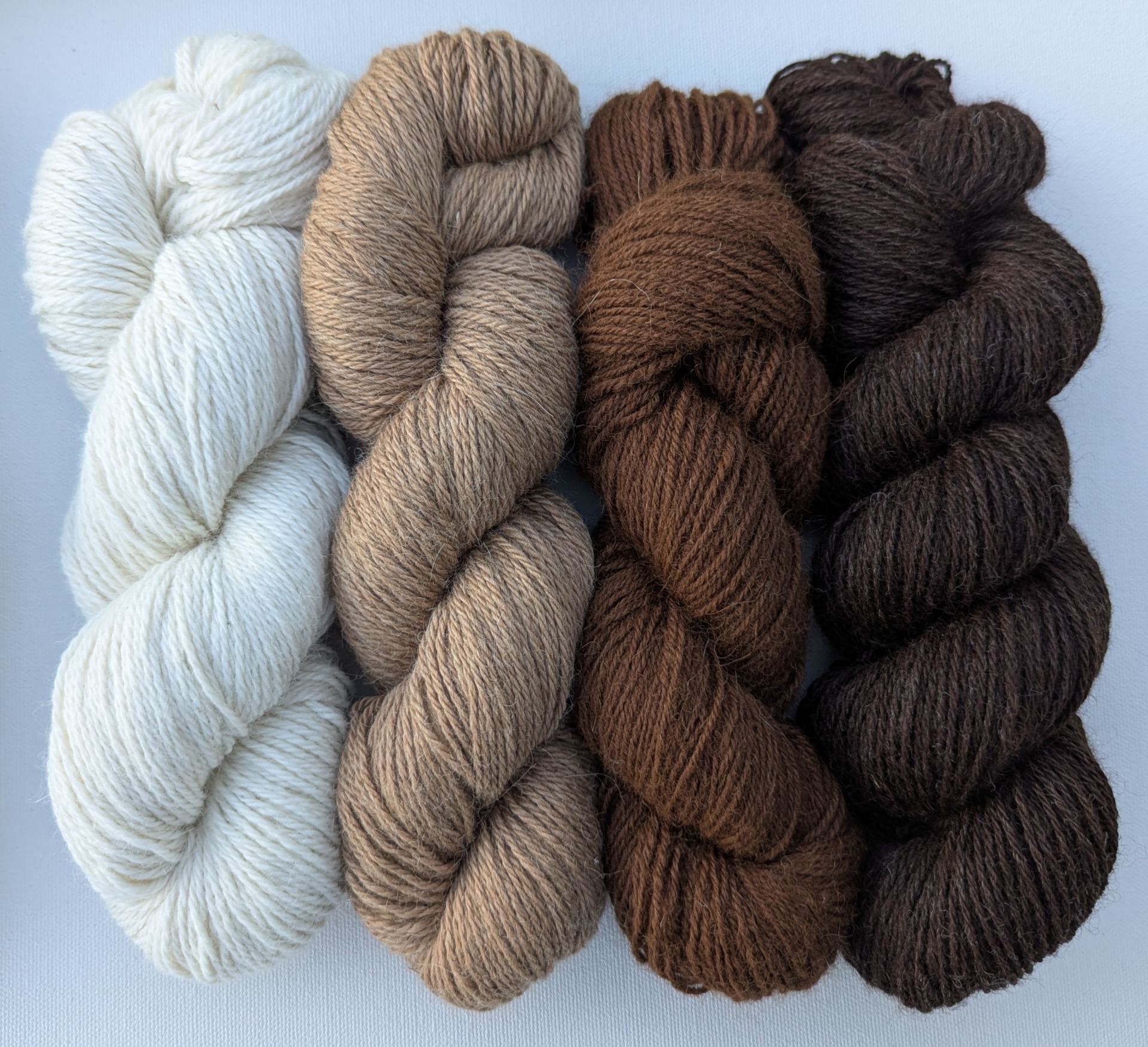 Luonnonvalkoinen, fawn, ruskea ja tummanruskea alpakkalanka